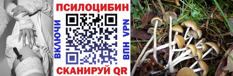 Псилоцибиновые грибы ЛСД  Наволоки 