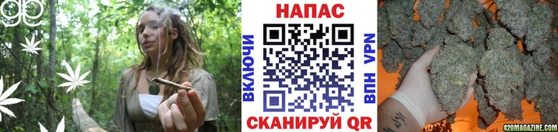 Канабис MAZAR  Наволоки 